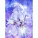 CAROL CAVALARIS COLLECTION Goddess of Dreams